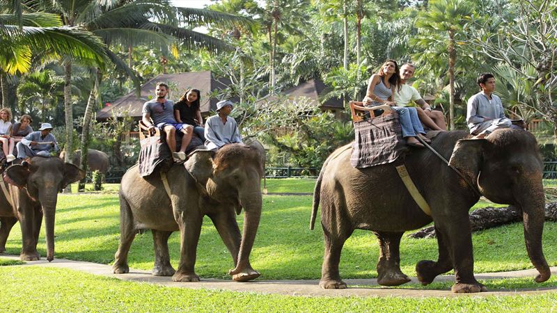 Mason Elephant Park Bali