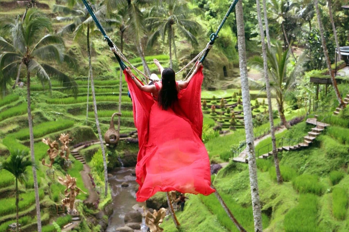 Swing at Ubud