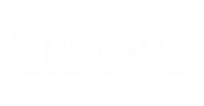 Troove logo