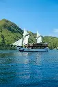 Raffles-Cruise.webp