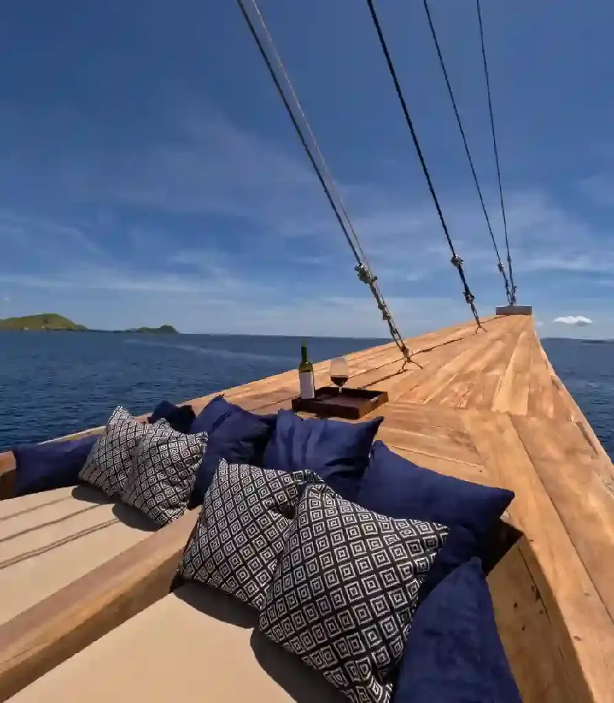 Raffles-Cruise-5.webp