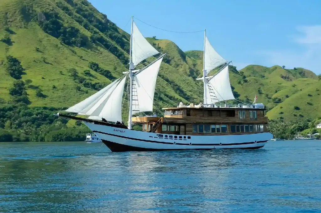 Raffles-Cruise-1.webp