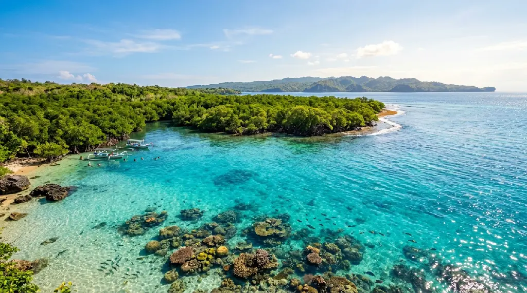 Mangrove Point Scenery - Nusa Lembongan.webp