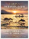 Lovina Dolphin Tour Teaser Flyer.webp