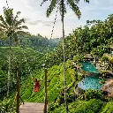Alas Harum Ubud Rice Terraces