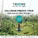 Bali 5D4N Promo - Ubud Monkey Forest & Swing Perspective.webp