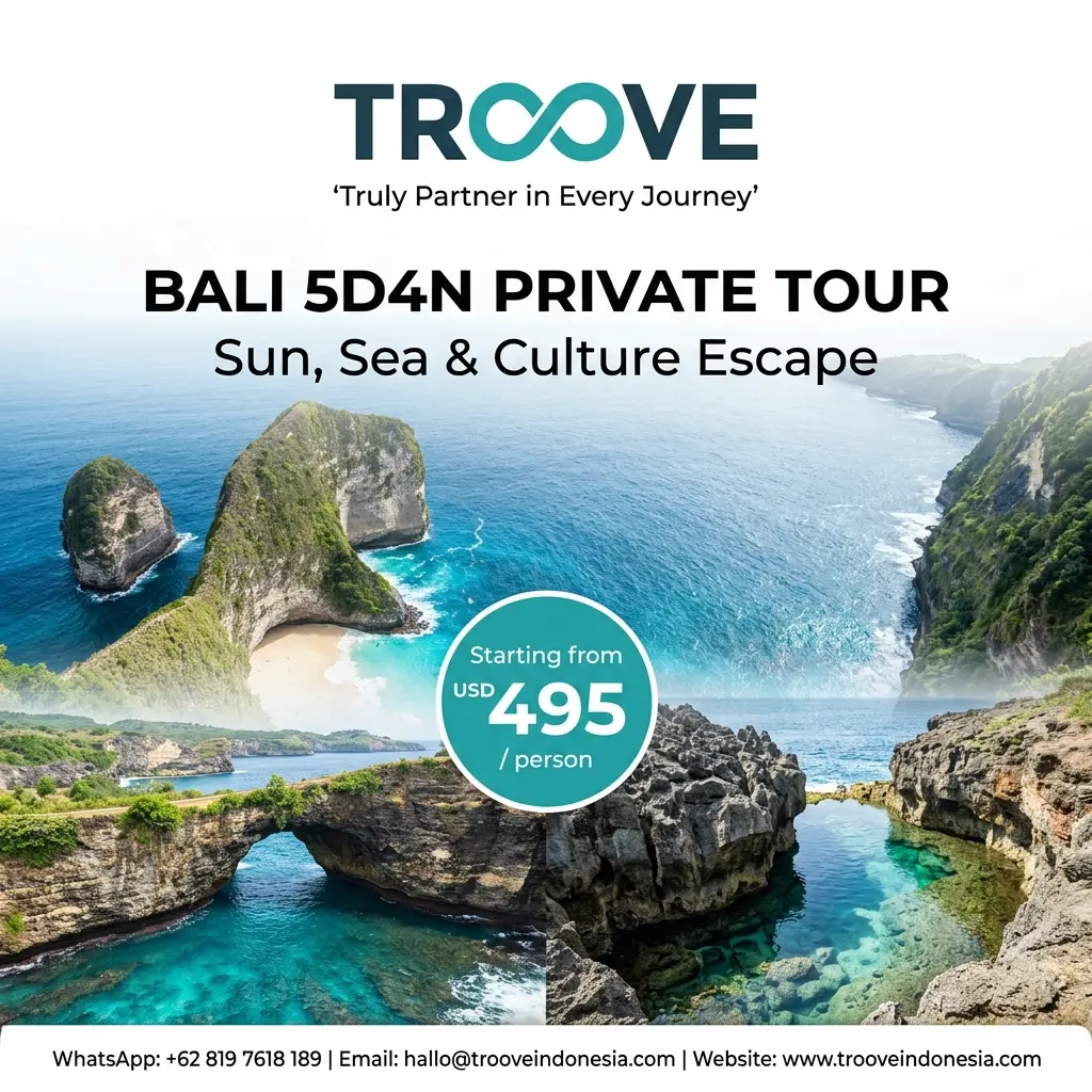 D4N Promo - Nusa Penida Tour Perspective.webp