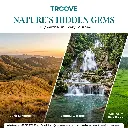Nature Hidden Gems Revised Composition.webp
