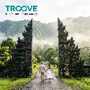 Troove Handara Gate - Strict Brand Alignment.webp