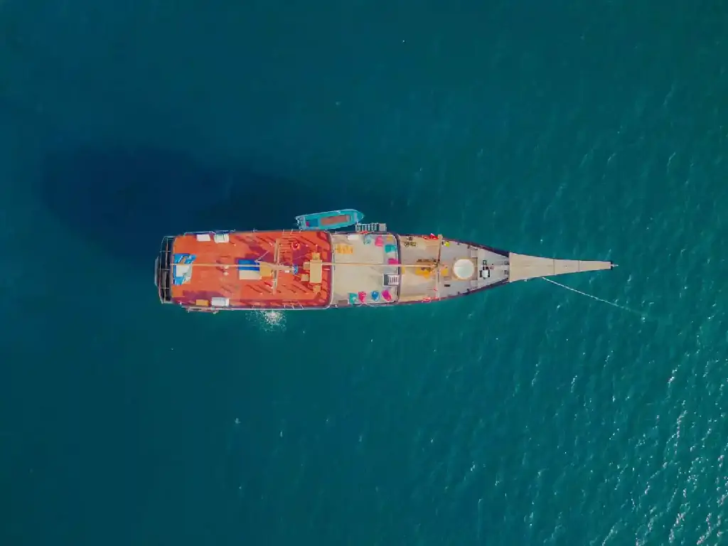 DJI_0157.webp
