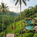Full-Day Ubud Highlights Tour