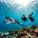 Ultimate Day Cruise & Island Tour: 3-Point Snorkeling Adventure